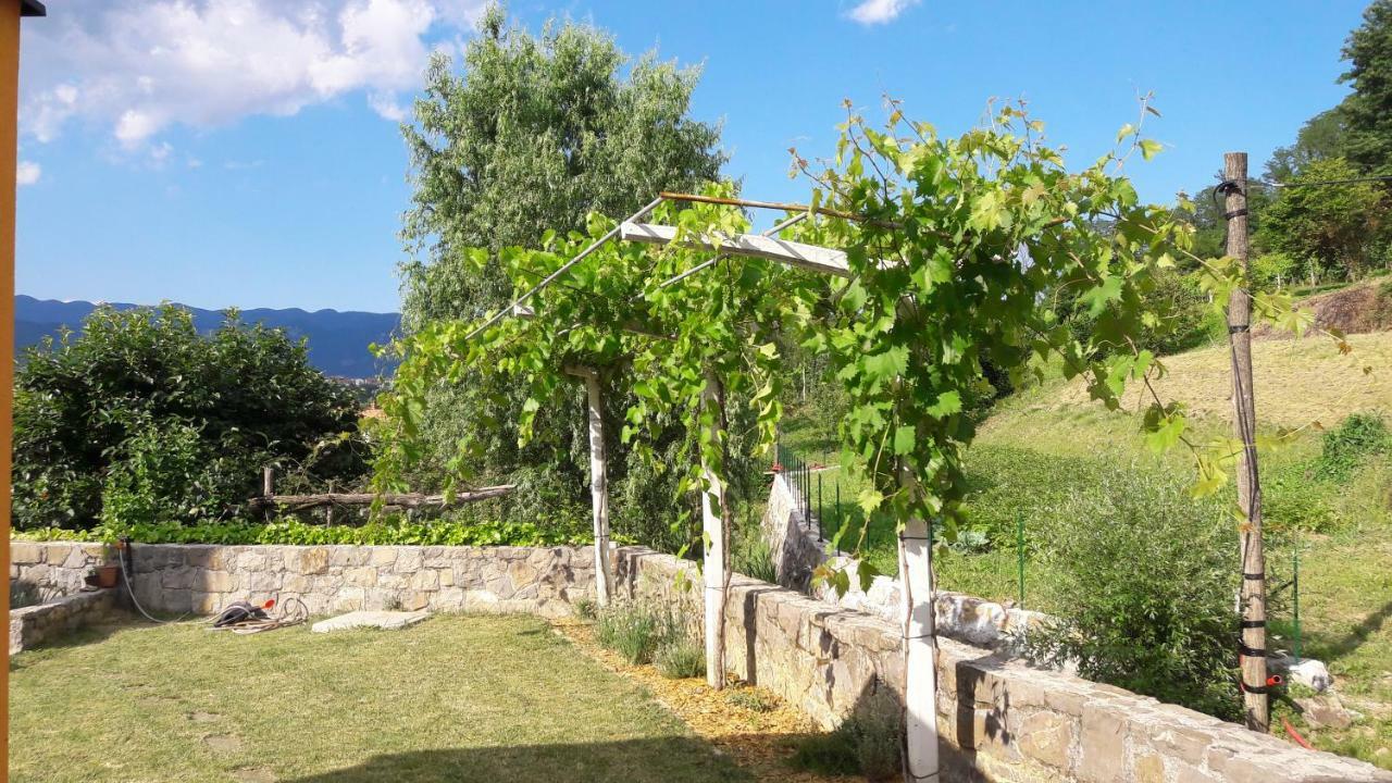 Pocitniska Hisa Guest House Dobravlje Екстериор снимка