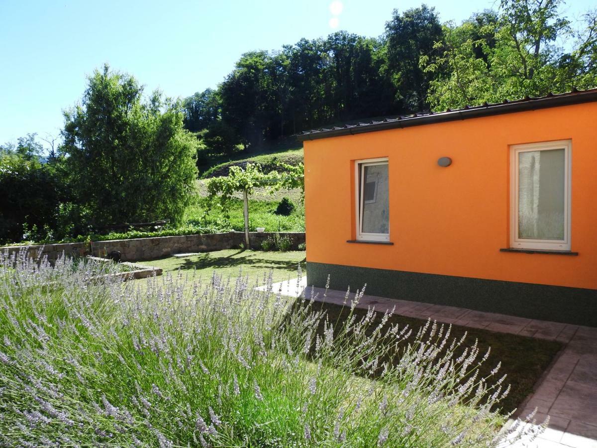 Pocitniska Hisa Guest House Dobravlje Екстериор снимка
